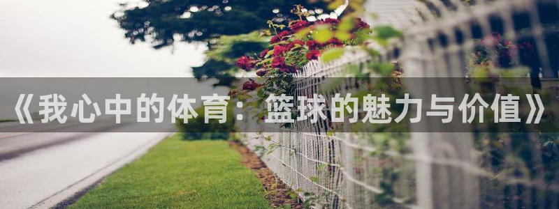 MK体育官方正版app娱乐：《我心中的体育：篮球的魅