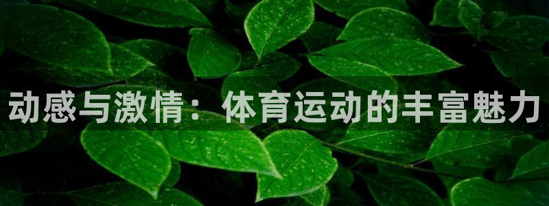 MK体育官网下载招商电话是多少啊：动感与激情：体育运