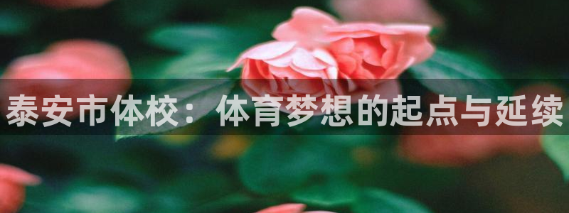 MK体育官网下载是干嘛的公司：泰安市体校：体育梦想的