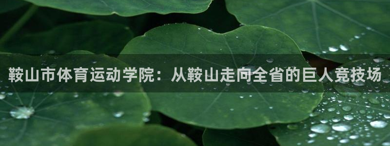 MK体育官网下载招商电话号码是多少：鞍山市体育运动学