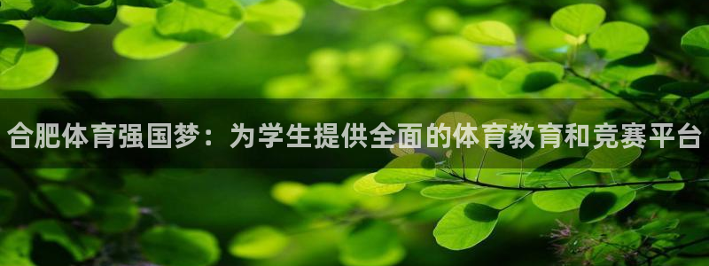 MK体育官方正版app集团简介：合肥体育强国梦：为学