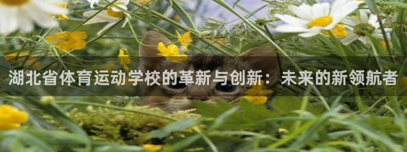 MK体育官方正版app娱乐40996：湖北省体育运动