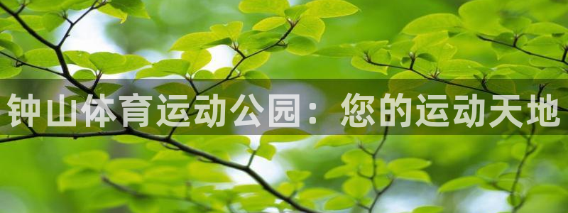 MK体育官方正版app新能源：钟山体育运动公园：您的
