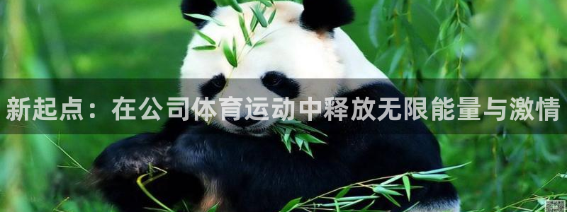 MK体育官方正版app娱乐网站：新起点：在公司体育运