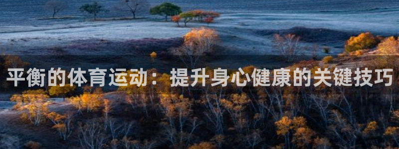 MK体育官方正版app集团logo：平衡的体育运动：提升身心