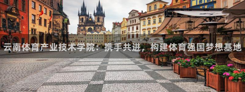 MK体育官方正版app五金厂：云南体育产业技术学院：携手共进