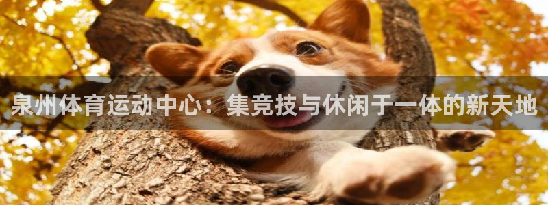 MK体育官网下载招商电话地址是多少：泉州体育运动中心：集竞技