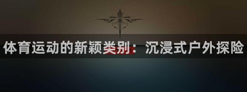 MK体育官方正版app五金厂：体育运动的新颖类别：沉