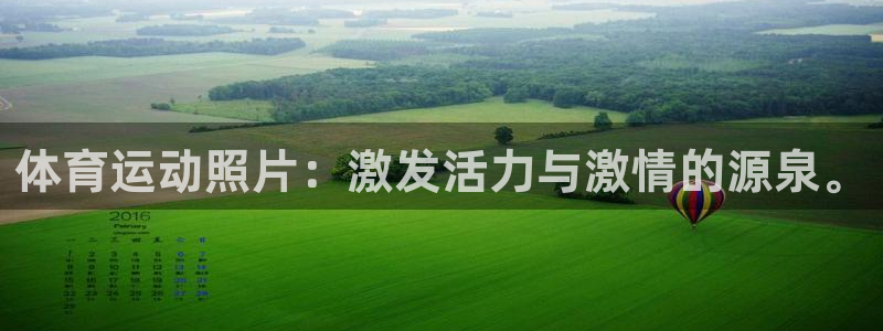 海南MK体育官网下载：体育运动照片：激发活力与激情的源泉。