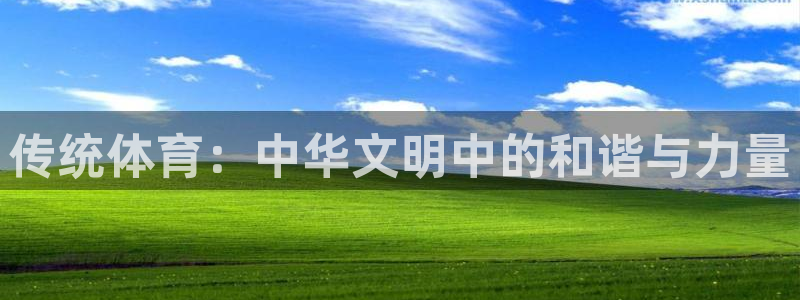 MK体育官方正版app集团logo：传统体育：中华文明中的和