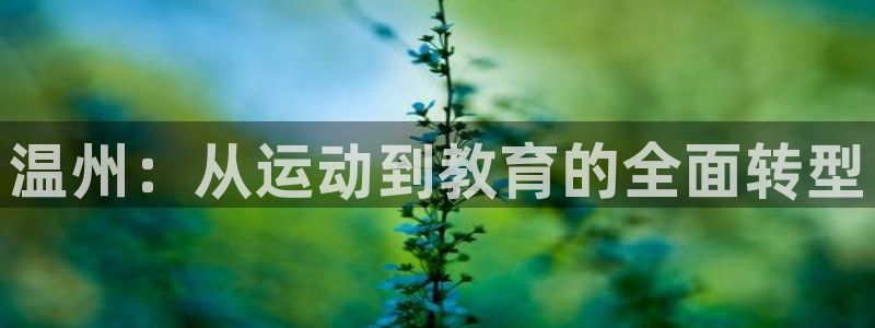 MK体育官网下载招商电话号码是多少号：温州：从运动到教育的全