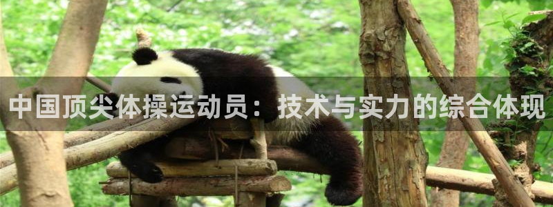 MK体育官方正版app科技：中国顶尖体操运动员：技术与实力的