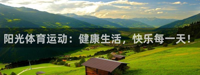 MK体育官方正版app神州