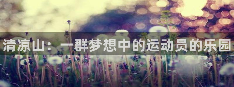 MK体育官网下载招商电话号码查询：清凉山：一群梦想中的运动员