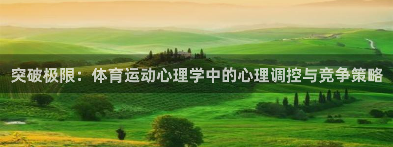 mk体育app官网在线：突破极限：体