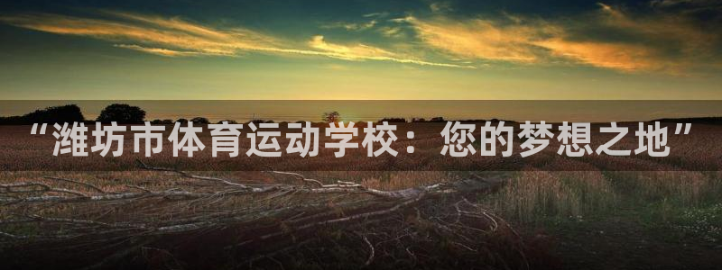 mk体育软件下载：“潍坊市体育运动学