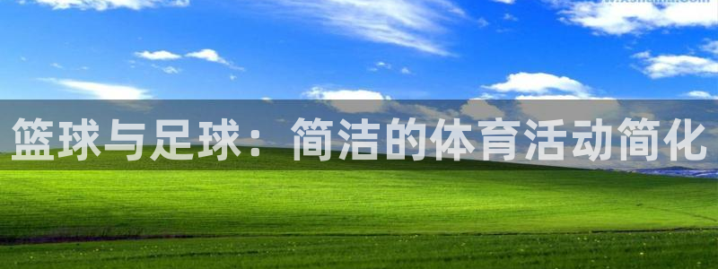 MK体育游戏：篮球与足球：简洁的体育